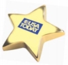 Gold Star Paper Weight