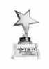 Trophy Award - Silver Metal Star mounted on Crystal Base