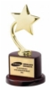Trophy Award - Flying Gold Metal Star on High Gloss Piano wood finish stand