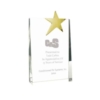Trophy Award - Heavy Crystal Wedge with Gold Star on top