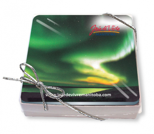 Gift Boxed Set of 4 Premium Square Coasters .020 Gloss Plastic Top & 3/32