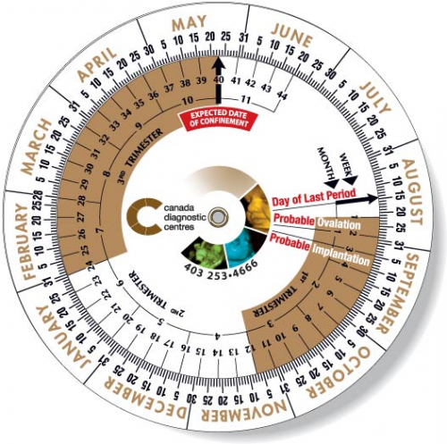 .020 White Plastic Birth Date Finder Wheel Calculator 6