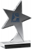 Clear Standing Star Award (5
