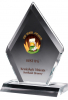 Zenith Diamond Multi Faceted Clear Acrylic Award (6