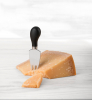 Specialty Cheese Knives Set of 4 - Trudeau