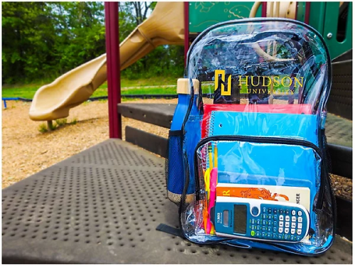 Clear Backpack