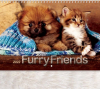 Furry Friends - Stapled