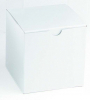 Damage Resistant Master Cartons - 24x16x13 - Standard White Gift Box