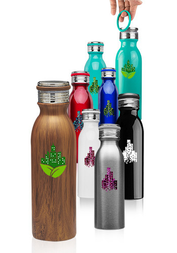 20 oz Stainless Steel Water Bottle