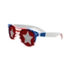 Lenstek USA Patriotic Miami Sunglasses