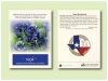 Texas Bluebonnet Seed Packet - Size 3.25