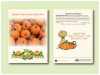 Pumpkin' Small Sugar' Seed Packet - Size 3.25
