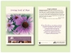 Purple Coneflower Seed Packet - Size 3.25