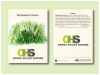 Chives Herb Seed Packet - Size 3.25