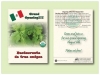 Organic Cilantro/Coriander Herb Seed Packet - Size 3.25