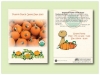 Organic Pumpkin Sugar Pie Seed Packet - Size 3.25