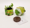 Oregano Herb SeedGems Paper Planter - Biodegradable Grow Kit