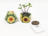 Dwarf Sunflower 'Autumn Beauty' SeedGems Paper Planter - Biodegradable Grow Kit