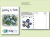 Forget-Me-Not Seed Packet - Postcard Mailer Size 4