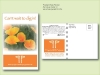 California Poppy Flower Seed Packet - Postcard Mailer Size 4