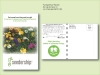 Wildflower Mixture - 11 Variety - Seed Packet - Postcard Mailer Size 4