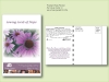 Purple Coneflower Seed Packet - Postcard Mailer Size 4