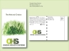 Chives Herb Seed Packet - Postcard Mailer Size 4