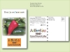 Jalapeno Pepper Seed Packet - Postcard Mailer Size 4