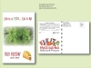 Cilantro/ Coriander Herb Seed Packet - Postcard Mailer Size 4