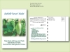 Cucumber Seed Packet - Postcard Mailer Size 4