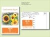 Sunflower Autumn Beauty Seed Packet - Postcard Mailer Size 4