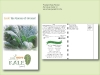Kale Seed Packet - Postcard Mailer Size 4