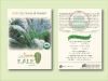 Organic Kale Seed Packet - Size 3.25