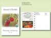 Organic Tomato Red Cherry Seed Packet  - Postcard Mailer Size 4