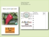 Organic Jalapeno Pepper Seed Packet - Postcard Mailer Size 4