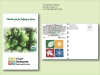 Organic Pepper California Wonder Seed Packet - Postcard Mailer Size 4