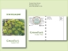 Organic Dill 'Bouquet' Herb Seed Packet - Postcard Mailer Size 4