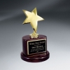 Gold Star Trophy On Rosewood Piano Finish Base