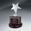 Silver Star Trophy On Rosewood Piano Finish Base