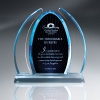 Enterprise Large Blue Dynasty Award