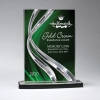 Sweeping Ribbon Award  - Small