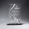 Sweeping Ribbon Award - Medium