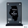 Frosted Lucite State Cutout on Risers Award