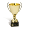 Metal Trophy Cup - Small