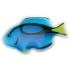 Blue Tang Fish Chill Patch