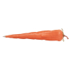 Veggie Pen: Carrot