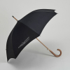 Euro Fashion Auto-Open Umbrella