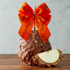 Milk Chocolate Walnut Pecan Autumn Jumbo Caramel Apple