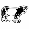 Cow Magnet - Full Color
