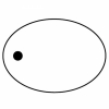 Oval 2 Key Tag - Spot Color
